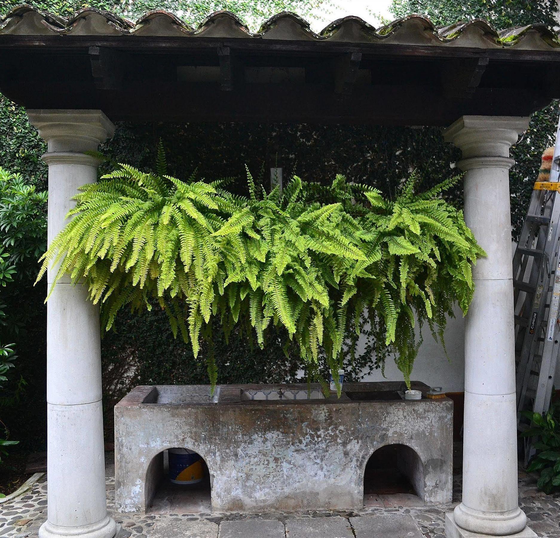 Meson Del Alferez Coatepec Hotel Eksteriør billede